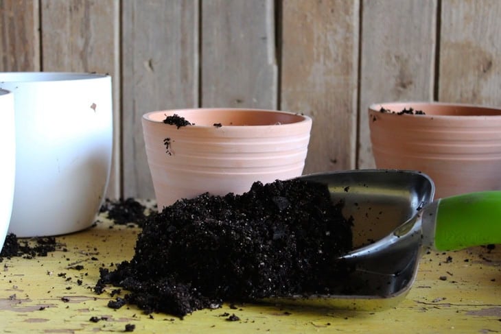 Potting bench with a trowel containing potting soil with more pots in the background.