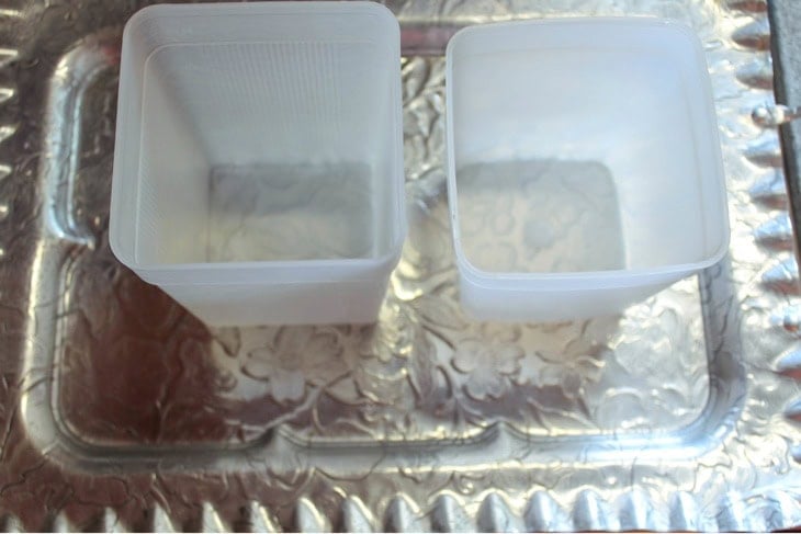 Two large plastic containers empty but ready to be filled with sour cherries to preserve them in the freezer.