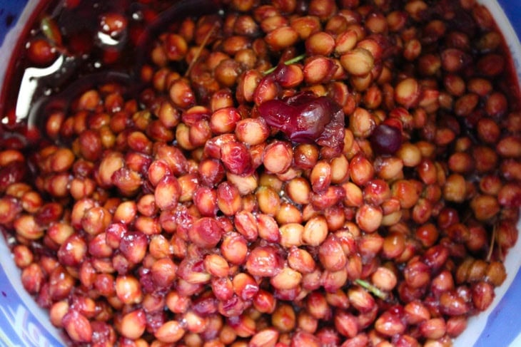 Large bowl full of the pits from sour cherries in a sink with some liquid in the bowl.