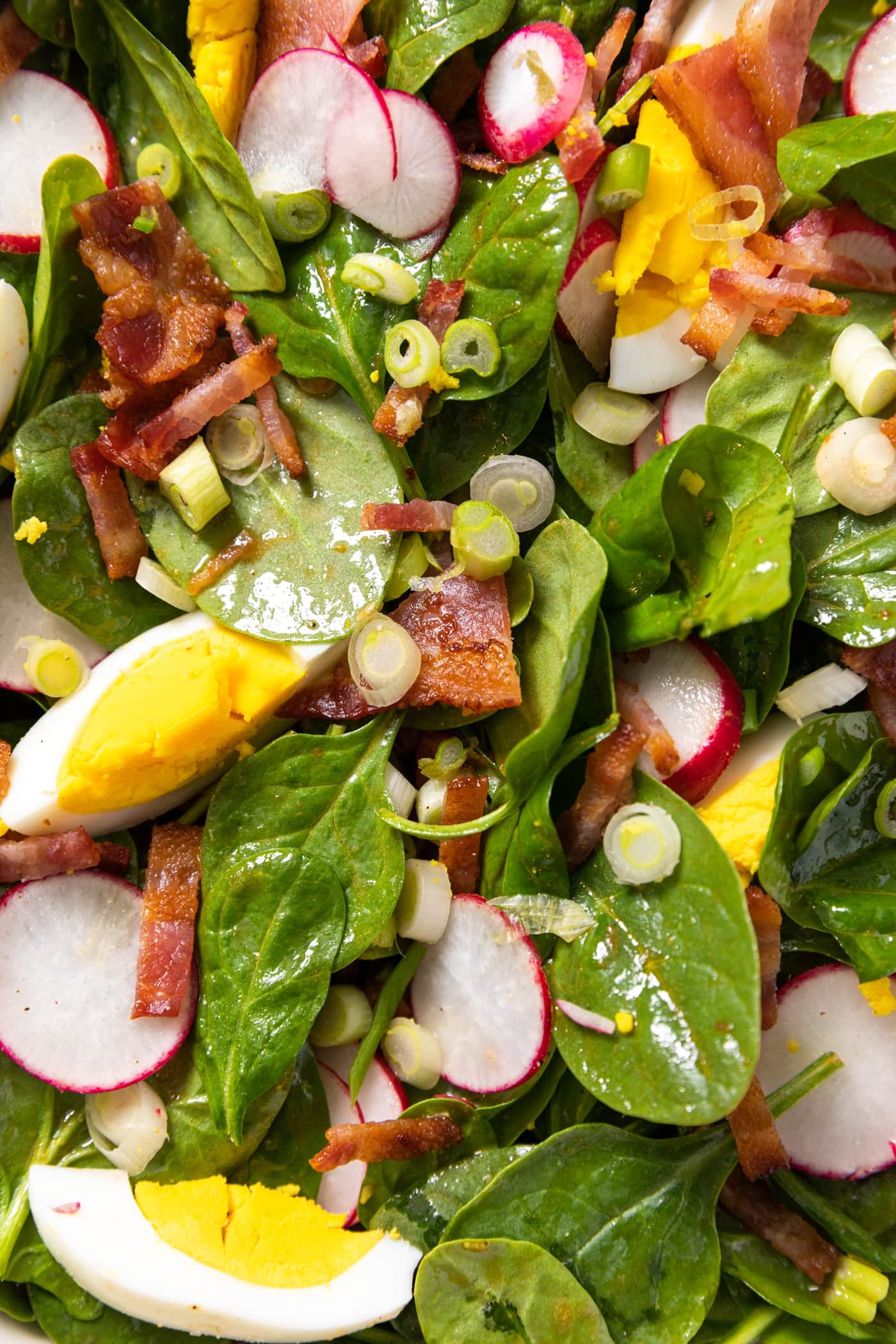 Up close view of salad greens topped with hardboiled eggs, bacon, scallion, and radish