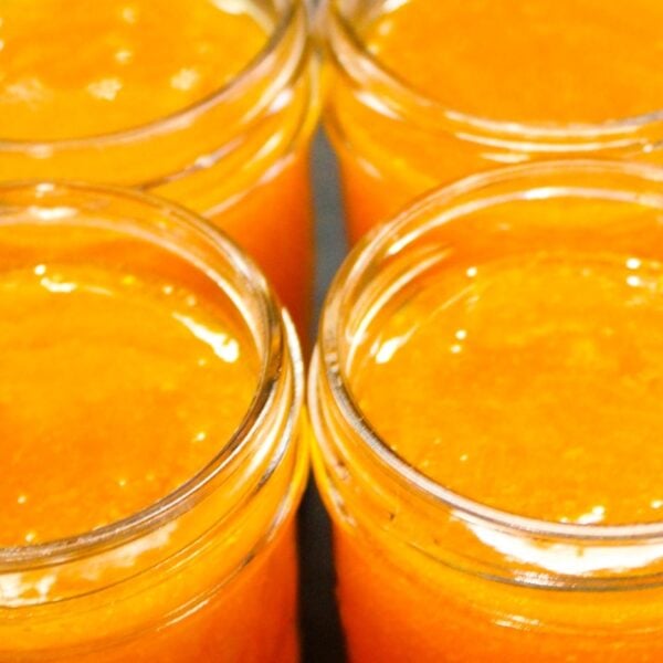 Orange-colored apricot butter in four glass jars sitting on a black surface