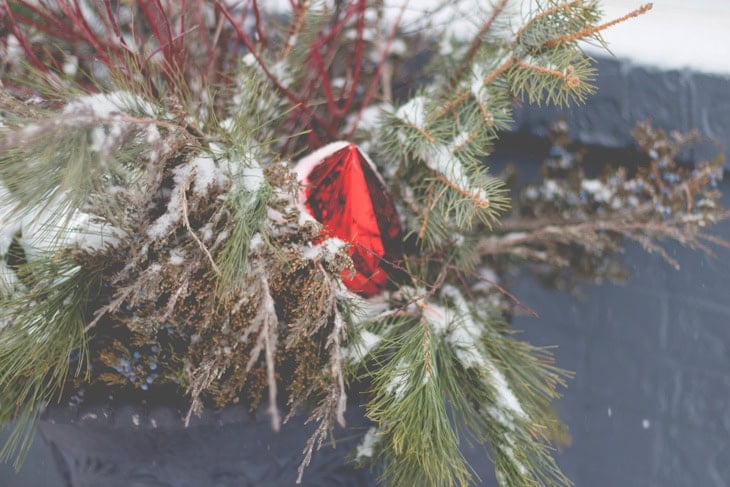 Snow-covered greenery branches and red ornament in an outdoor Christmas urn with branches piled around as well.