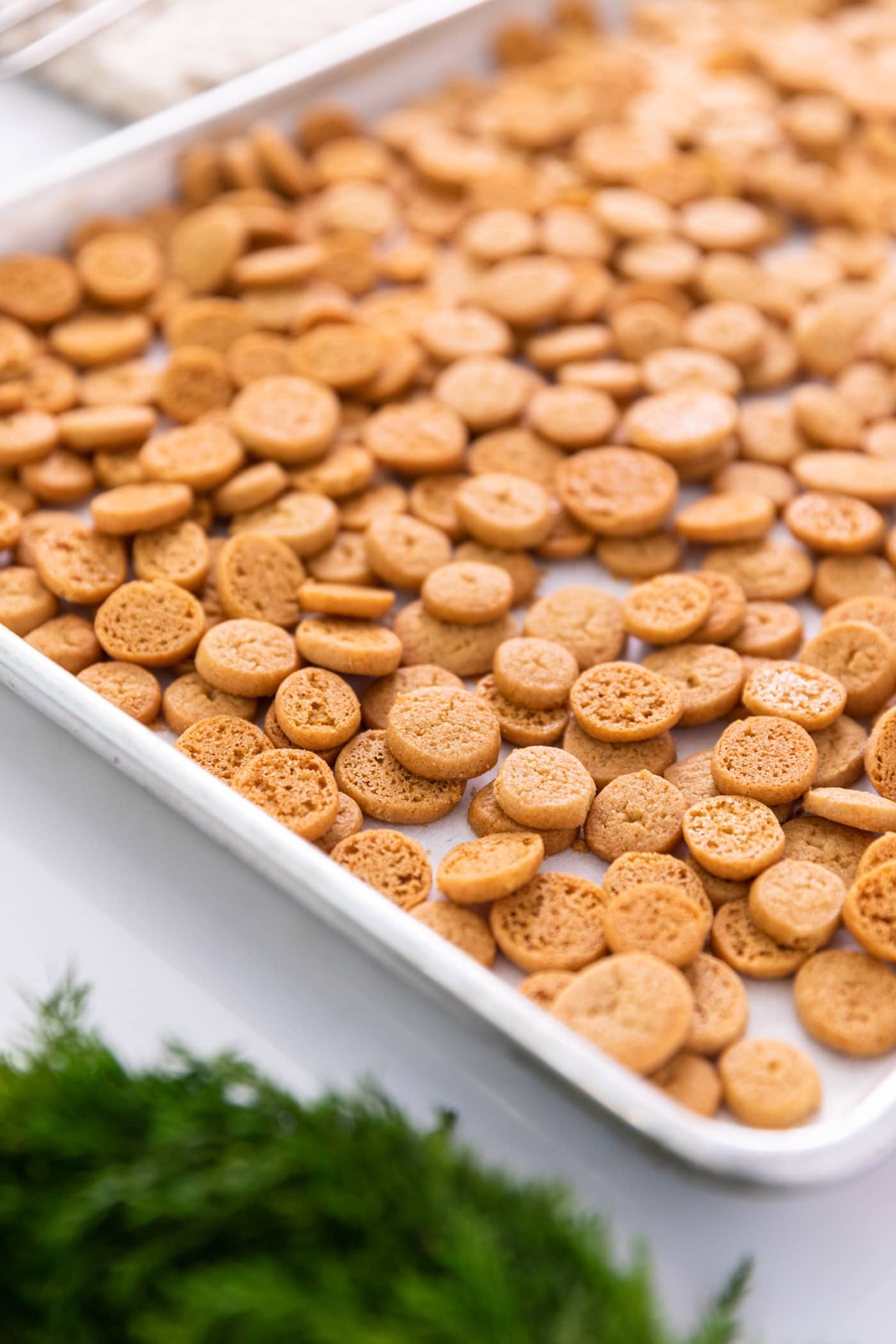 Small peppernut cookies sitting on baking tray after coming out of the oven on white surface with greenery in foreground