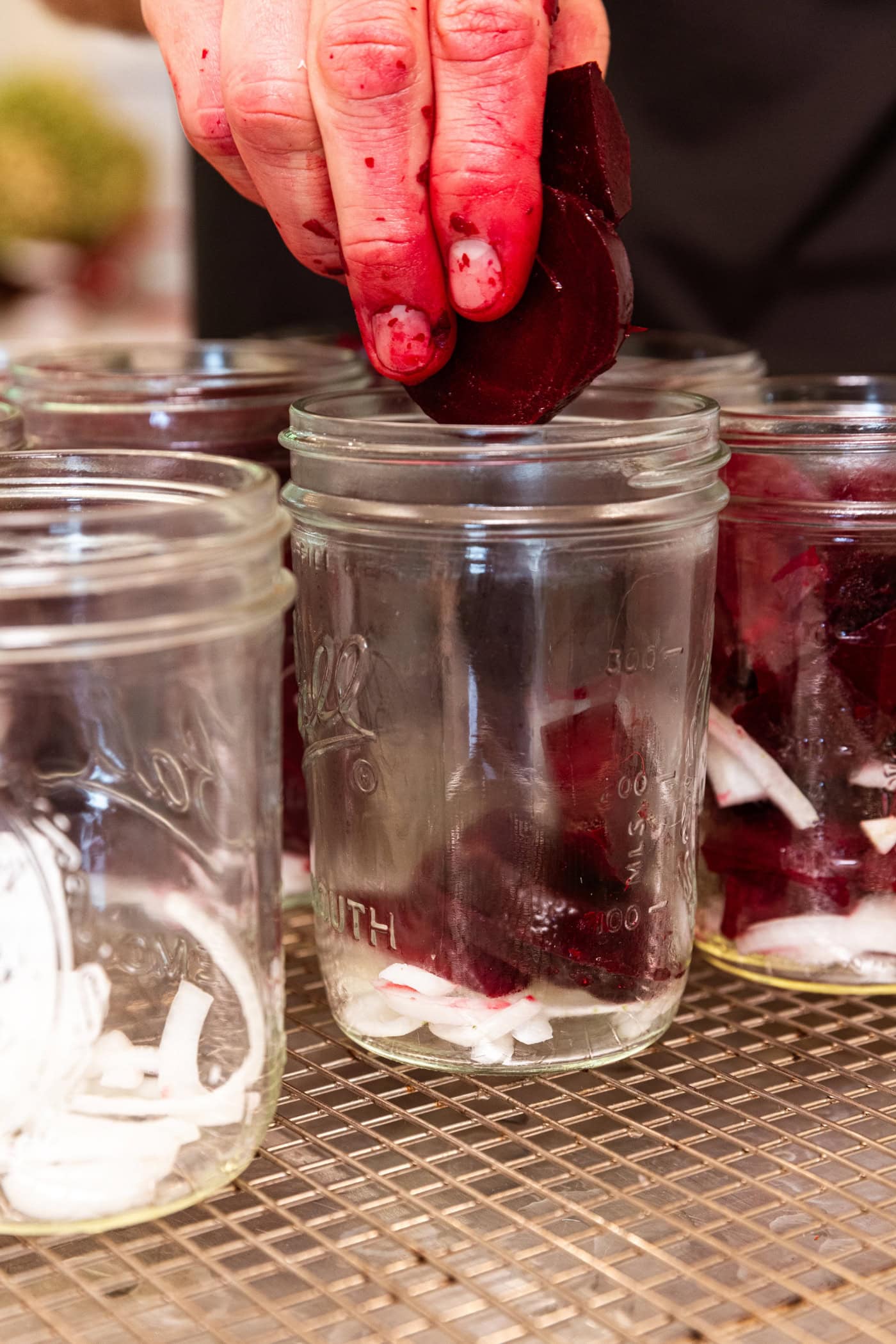 Hand dropping slices of beets into canning jars for pickled beets recipe.