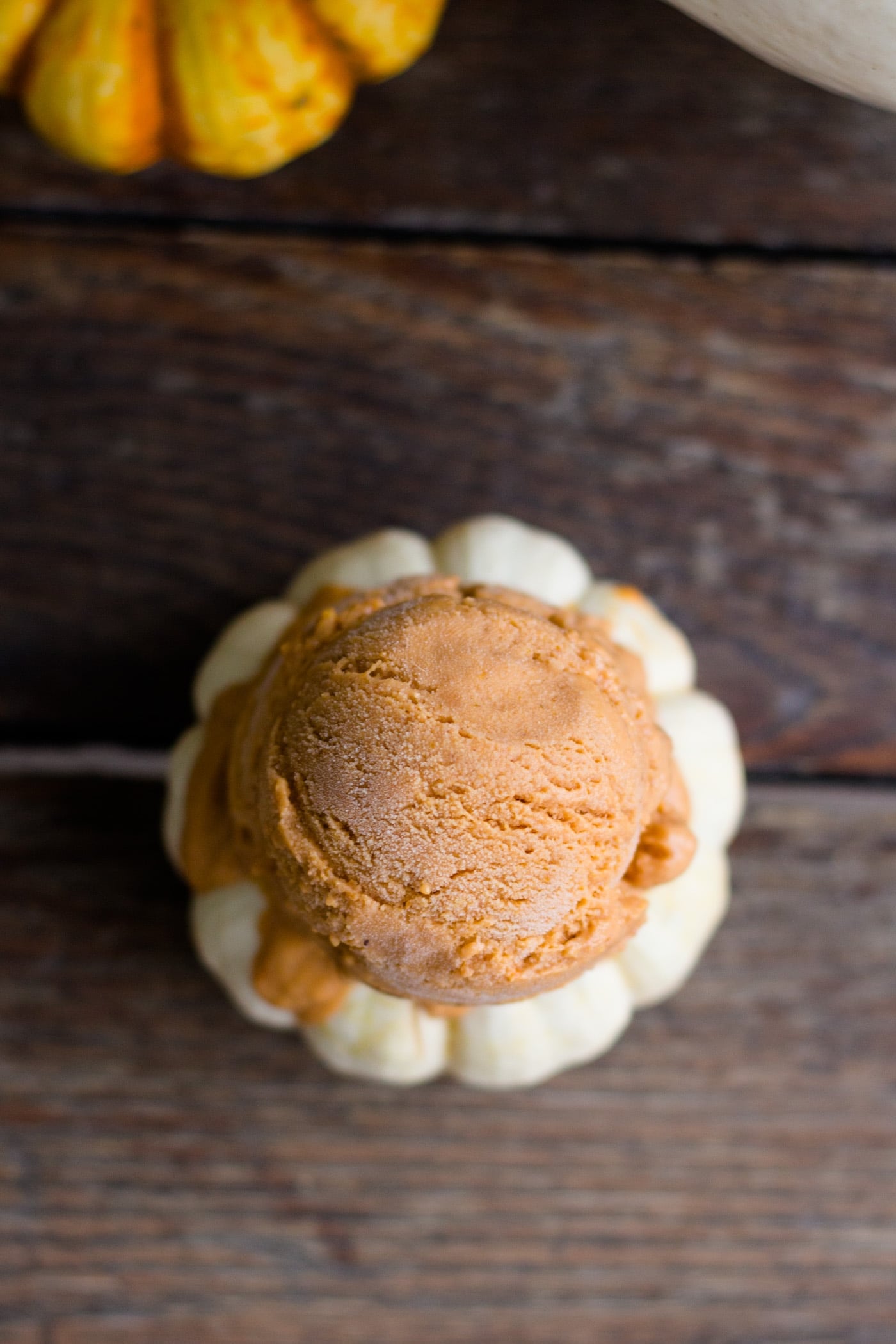 Top down view of frozen pumpkin custard scooped onto a small white pumpkin with yellow and white pumpkins in background on a wood surface