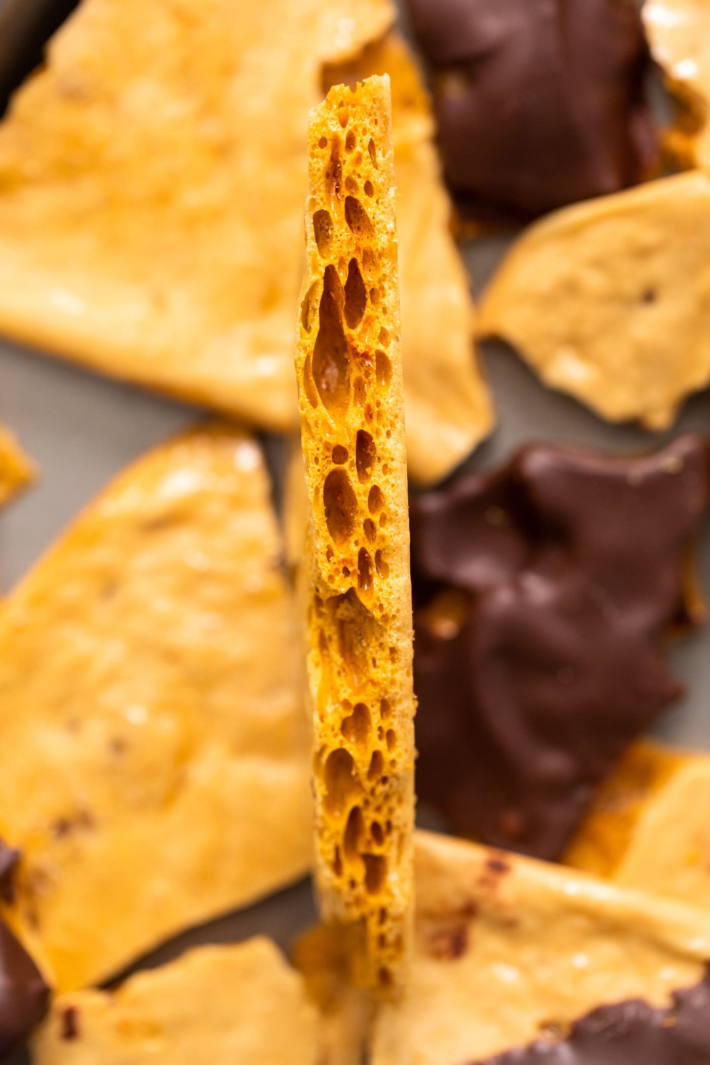 Side view of piece of yellow-colored sponge candy showing lots of crevices standing upright amongst other pieces of yellow candy, some covered in dark chocolate