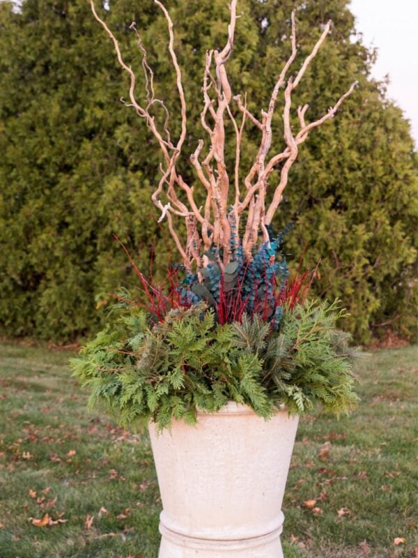 Large concrete urn with greenery around the base with red twigs, eucalyptus, and large branches coming out of the top.