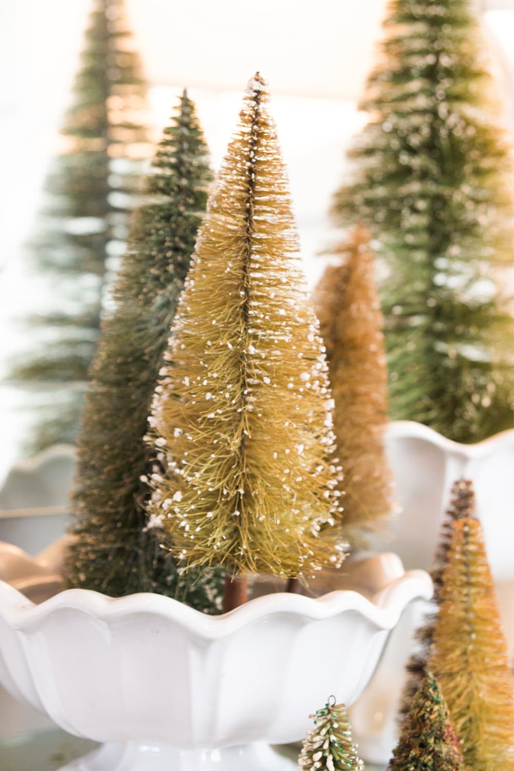 White bowl filled with small brown and green bottle brush trees all on table top.