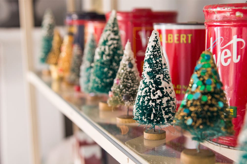 Bottle brush tree sitting on a glass shelf.