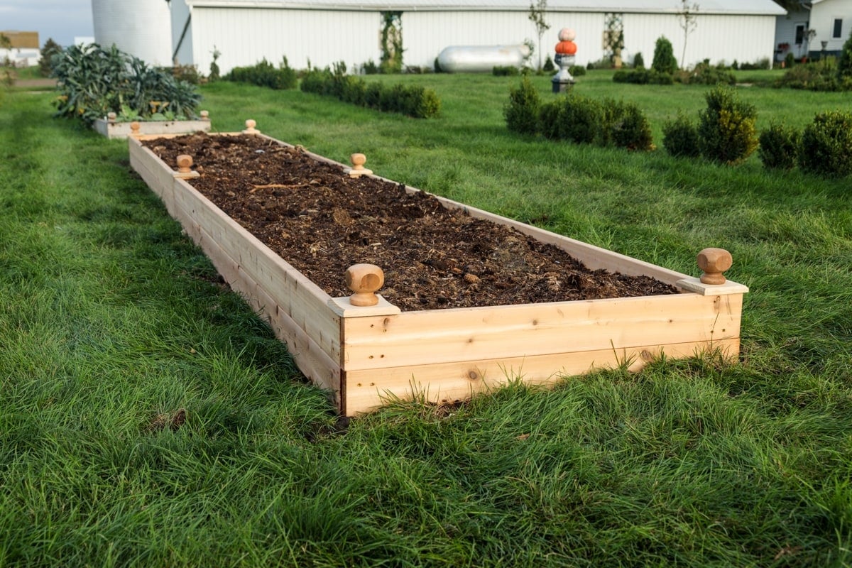 Newly completed raised garden bed filled with rich dark soil and sitting amongst lush green grass with garden shed in background