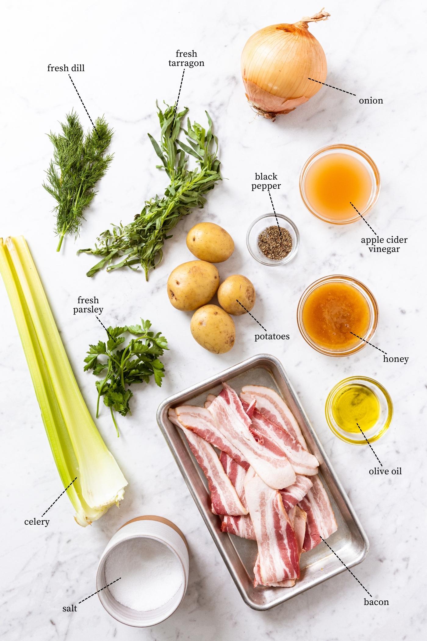 White marble surface filled with all ingredients needed to make German potato salad including raw bacon, celery, onion, potatoes, herbs, spices, and more.
