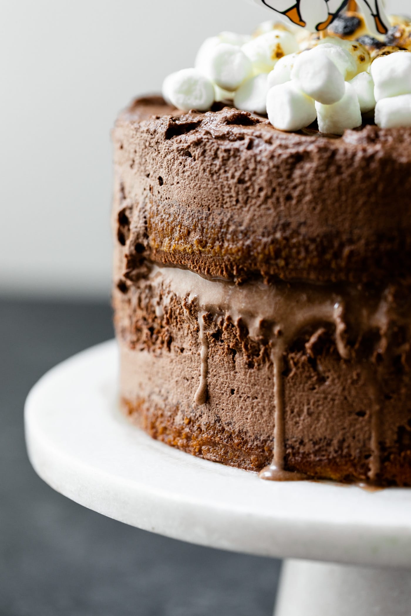 Drips of ice cream coming out of a s'mores ice cream cake covered in chocolate frosting, topped with torched marshmallows and birthday animal figurines on a white cake plate on a gray slate surface with white background