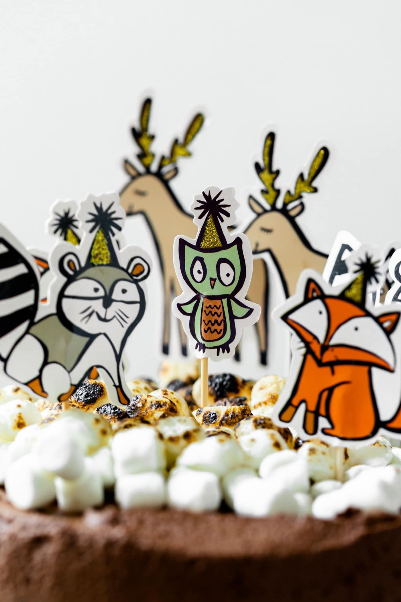 Birthday animal figurines on top of s'mores ice cream cake topped with chocolate frosting and torched marshmallows in front of white background