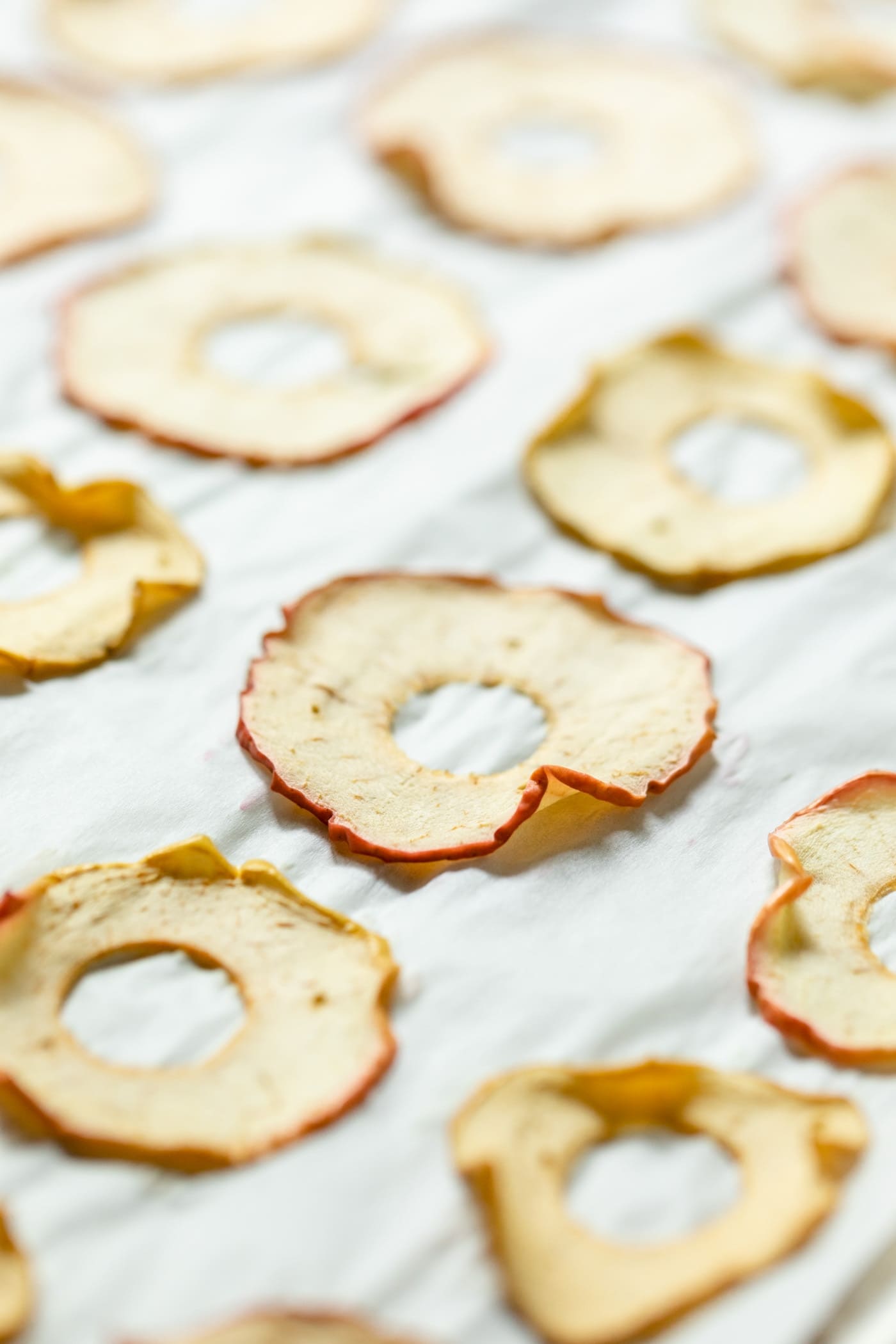 Homemade apple chips sitting on parchment with no spices on top