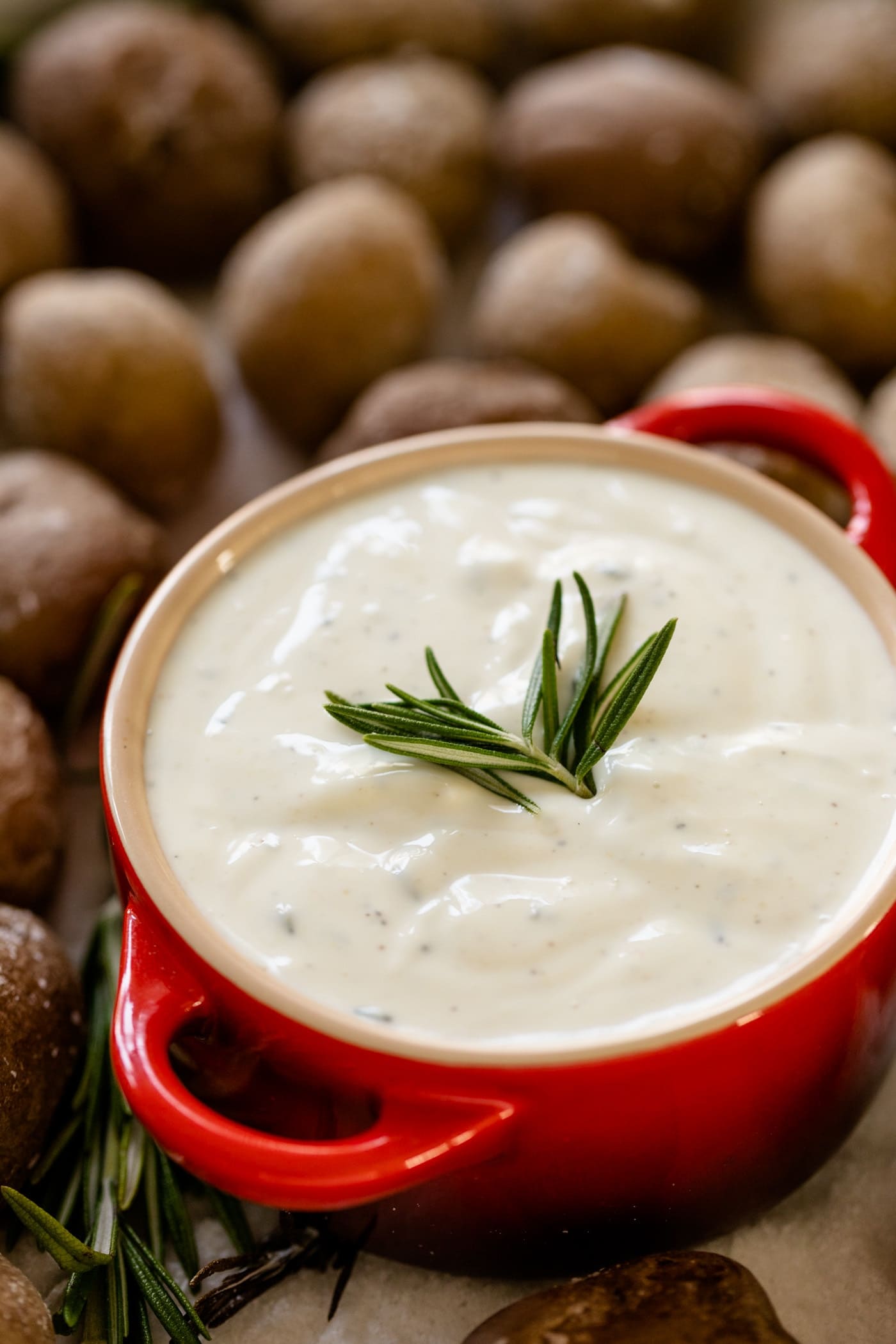 Salt roasted potatoes sitting on bed of salt with red container filled with rosemary ranch dipping sauce