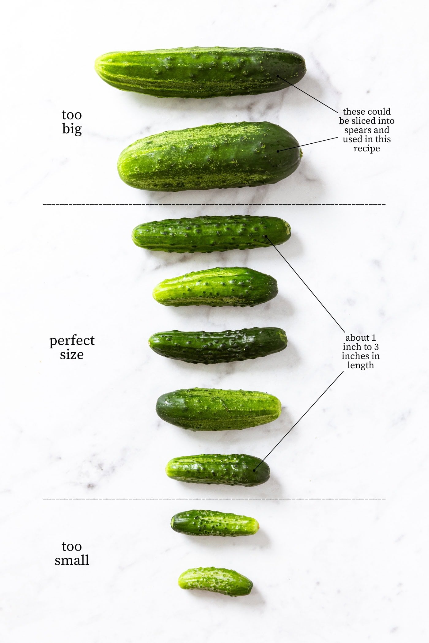 White marble surface with raw cucumbers in all different sizes with words describing the correct size for this recipe.