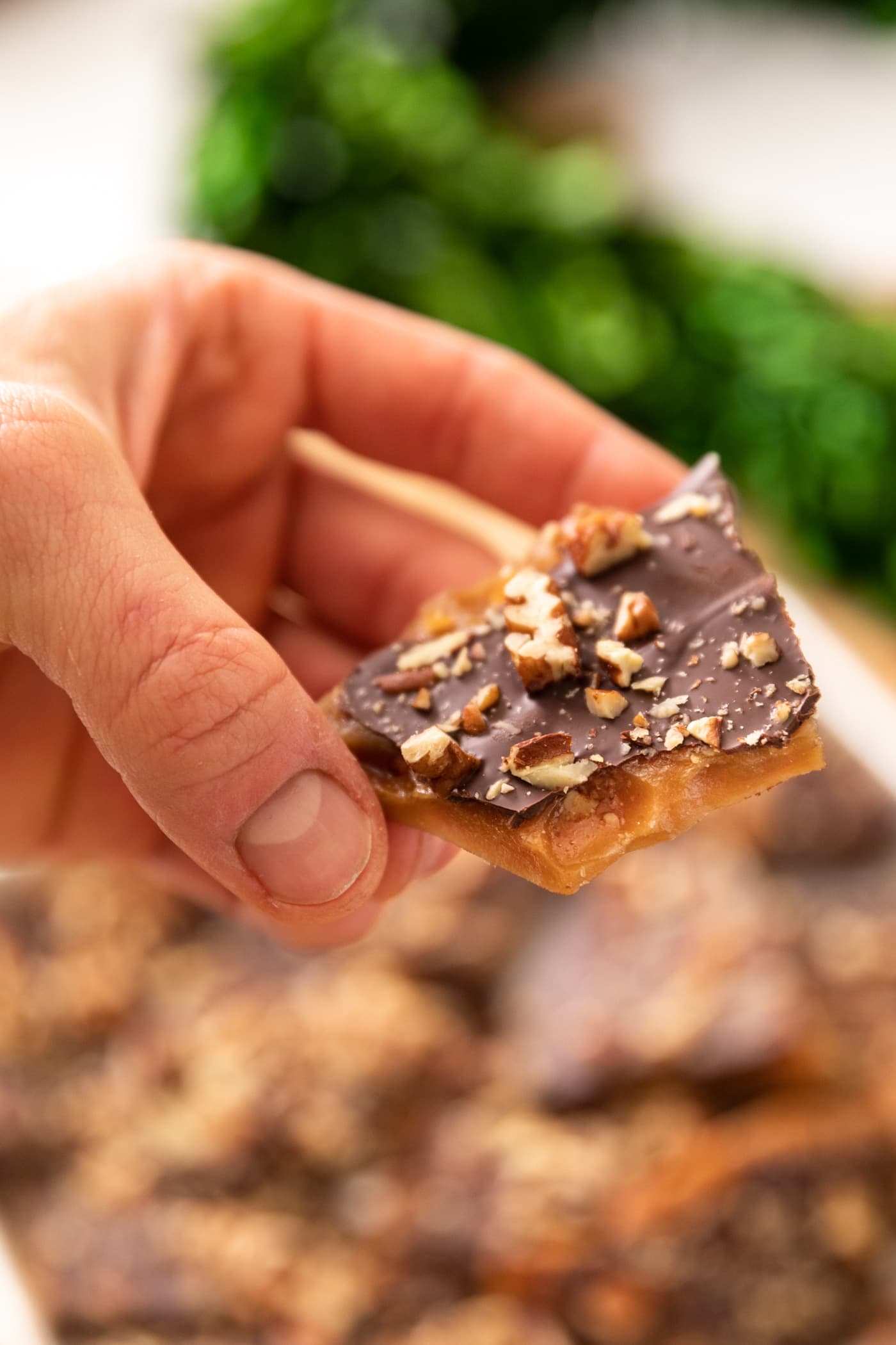 Hand holding piece of toffee topped with chocolate and nuts with extra toffee in background with greenery as well