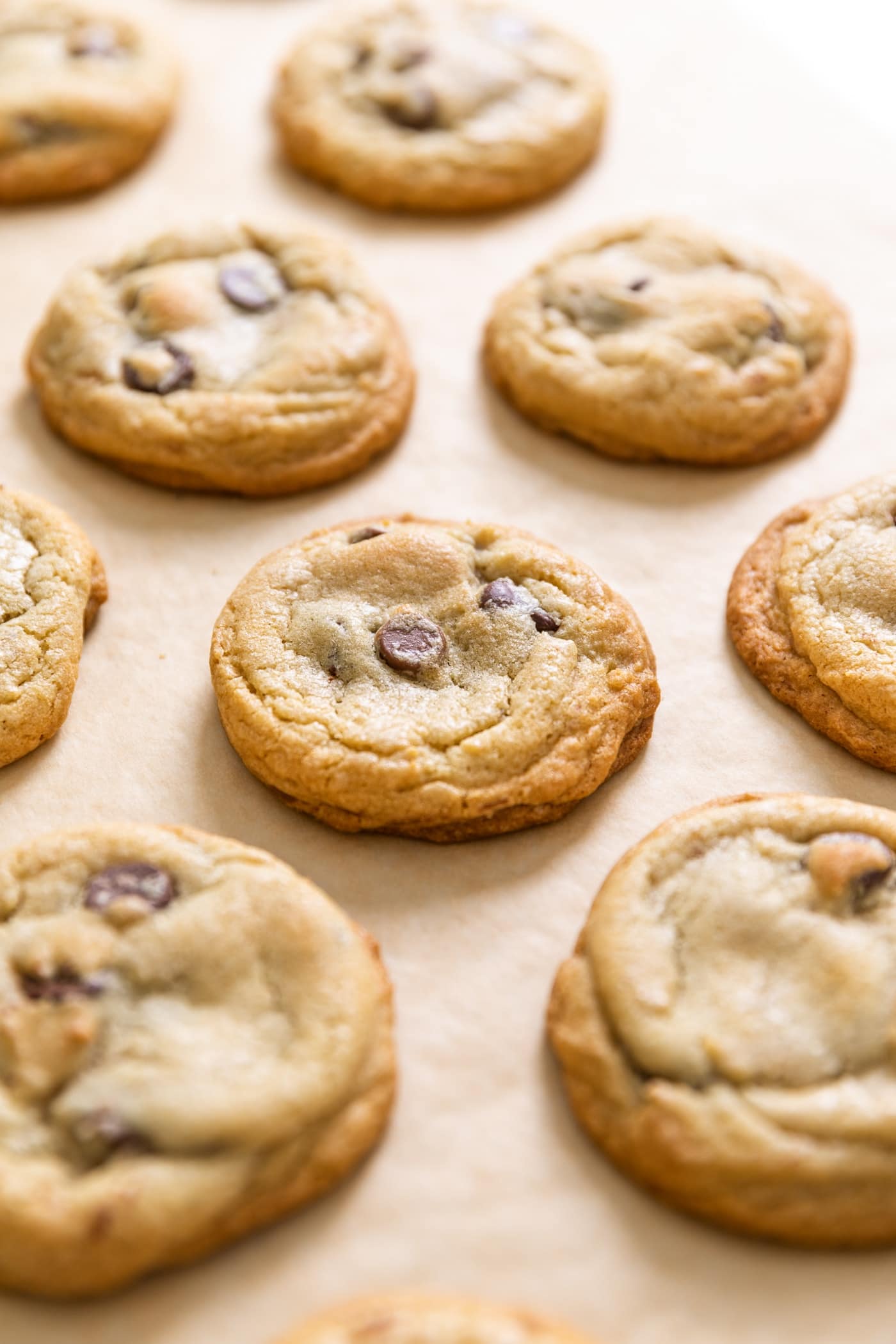 Multiple yellow colored chocolate chip cookies sitting on brown colored parchment paper.