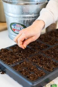 Hand pinching small seeds dropping them into a hole in dark brown soil in seed starting tray