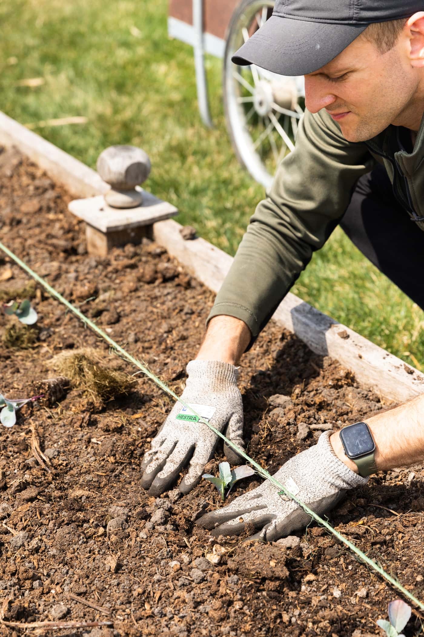 Man planting seed in garden bed with string guiding where to plant small seedling with green grass in background