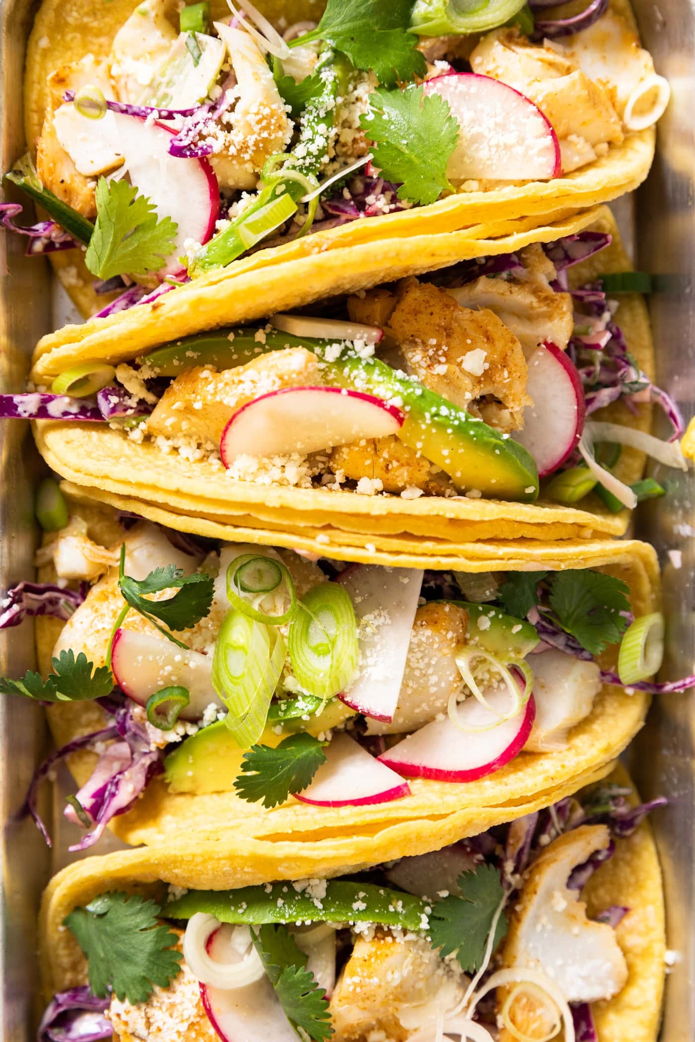 Close up top down view of yellow colored tortillas filled with cod fish and topped with radish and coleslaw