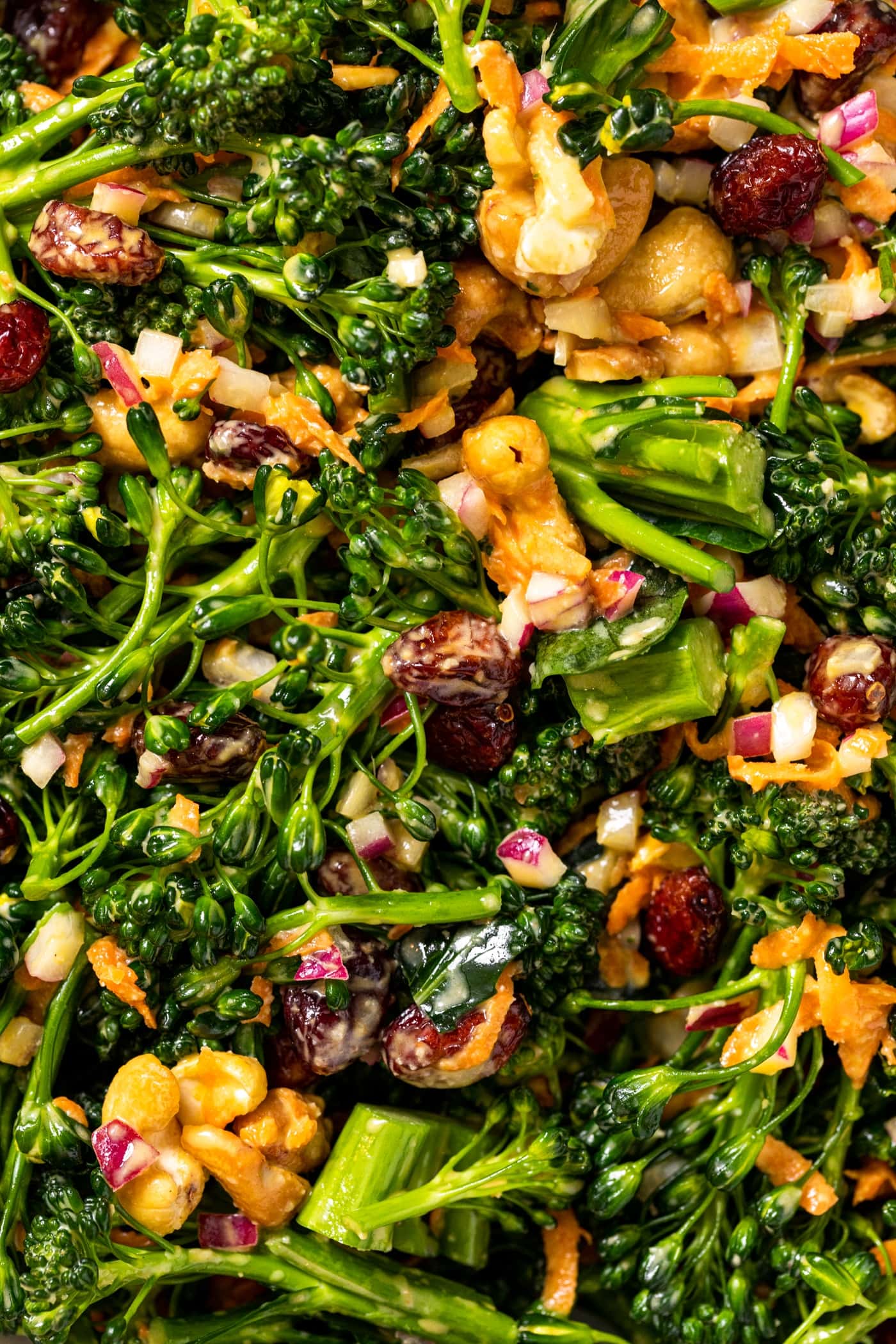 Close up view of broccoli florets with dried cranberries and cashews all mixed with creamy taupe colored ressing