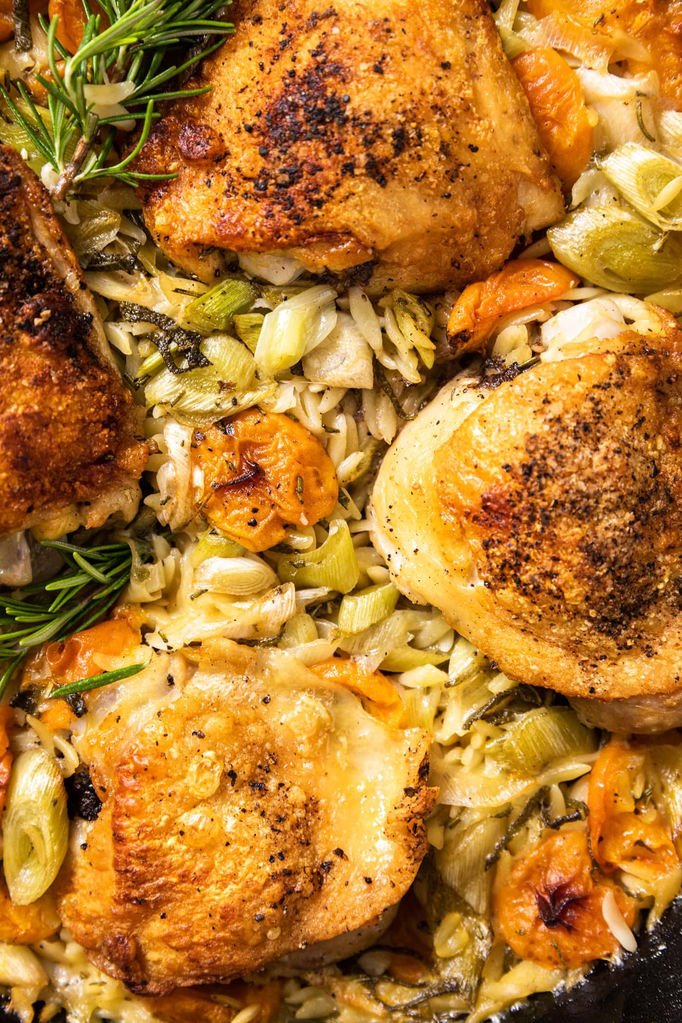 Top down view of cooked chicken thighs nestled among orzo with apricots and herbs sitting as well