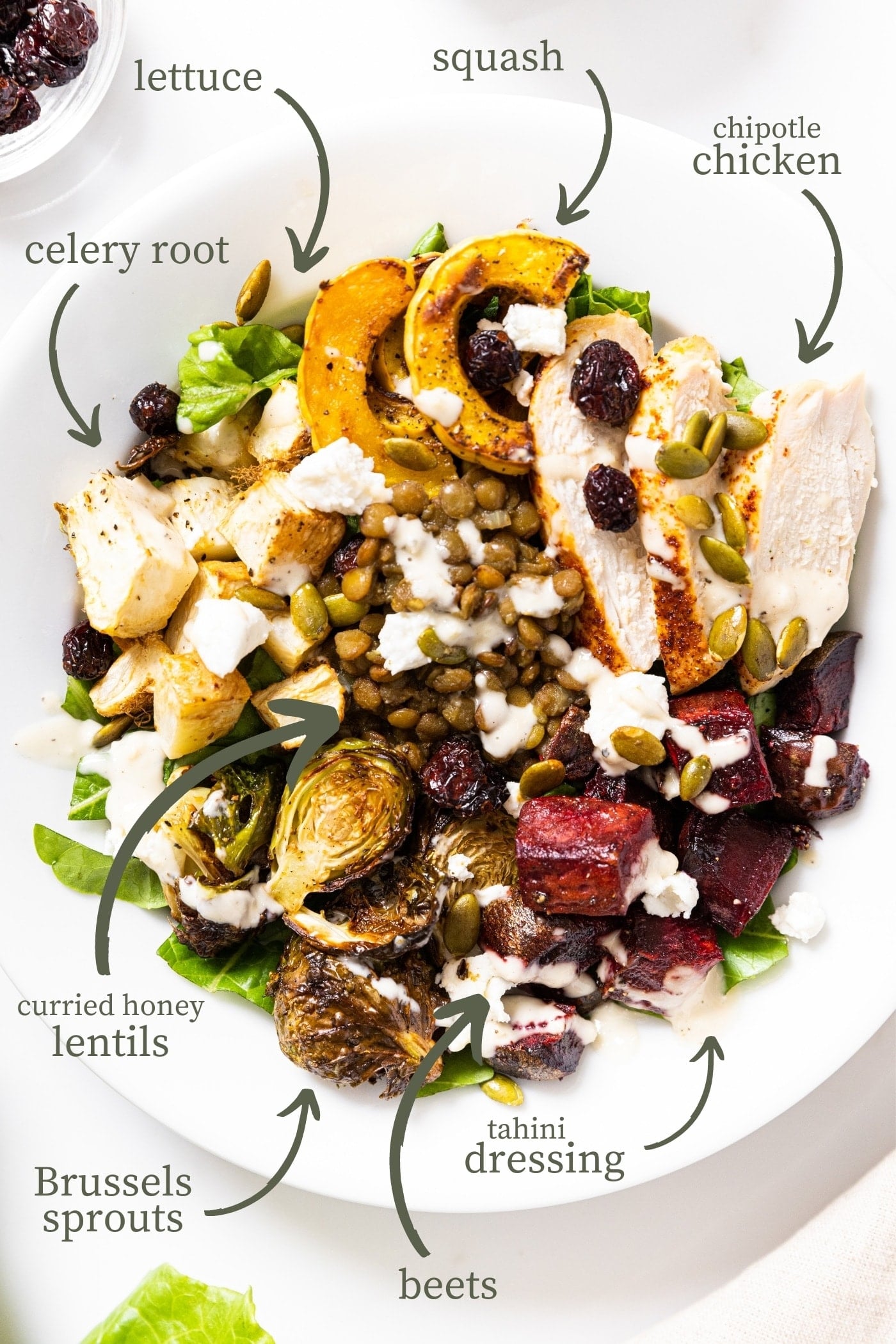 Top down view of white bowl containing multiple components of a harvest bowl with each ingredient labeled with text and arrows
