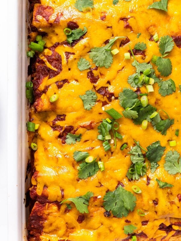 Top down view of white pan filled with chicken enchiladas topped with cheese and cilantro