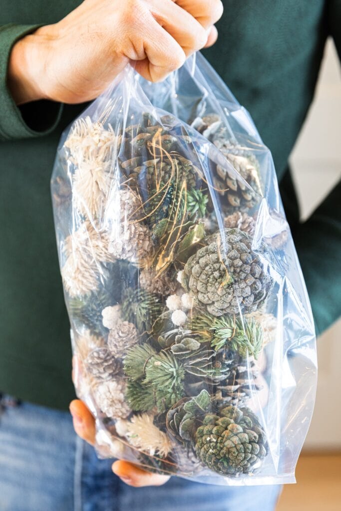 Piece of garland with pinecones placed in plastic bag being held by two hands