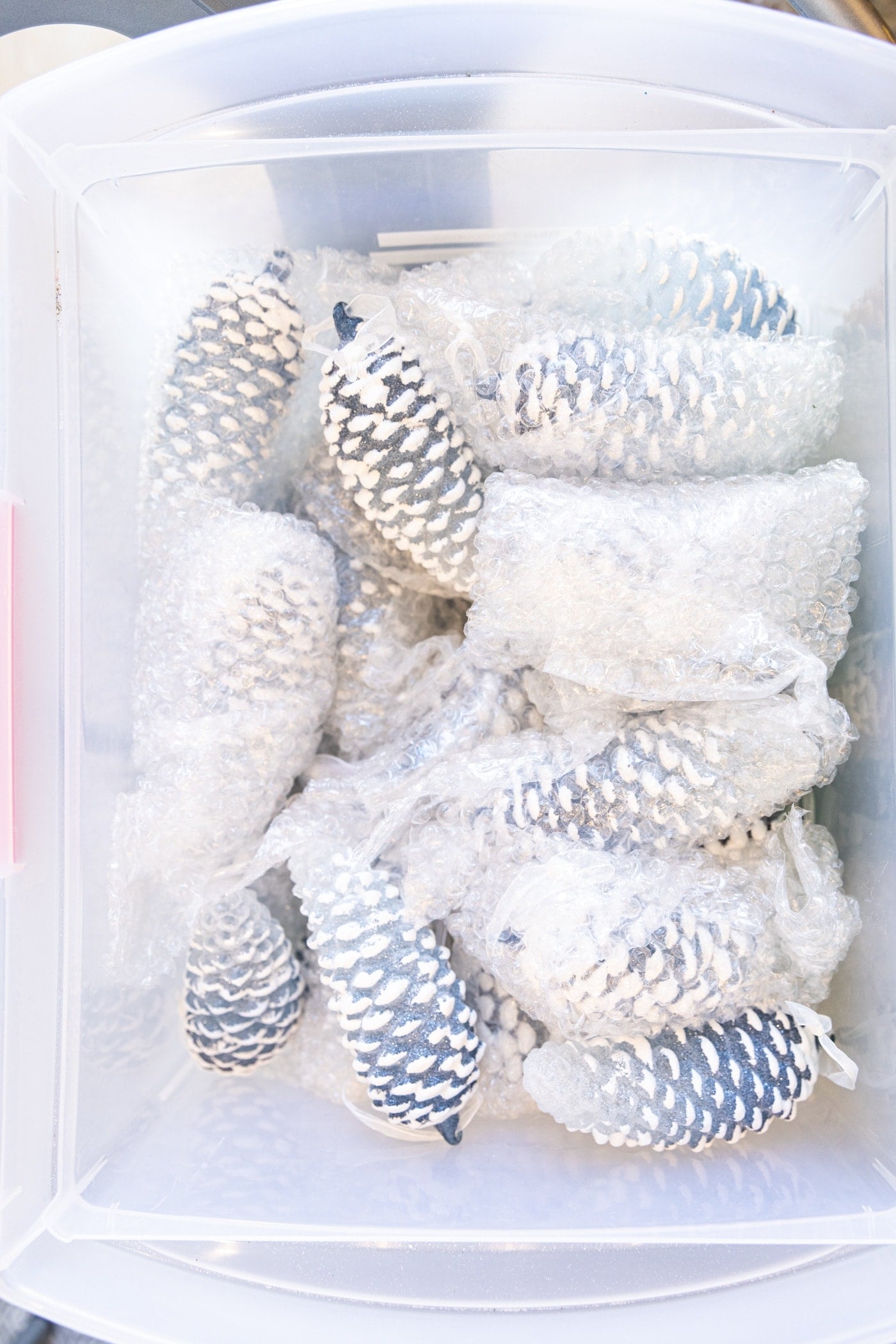 Top down view of white and blue colored pinecone ornaments sitting in clear plastic container
