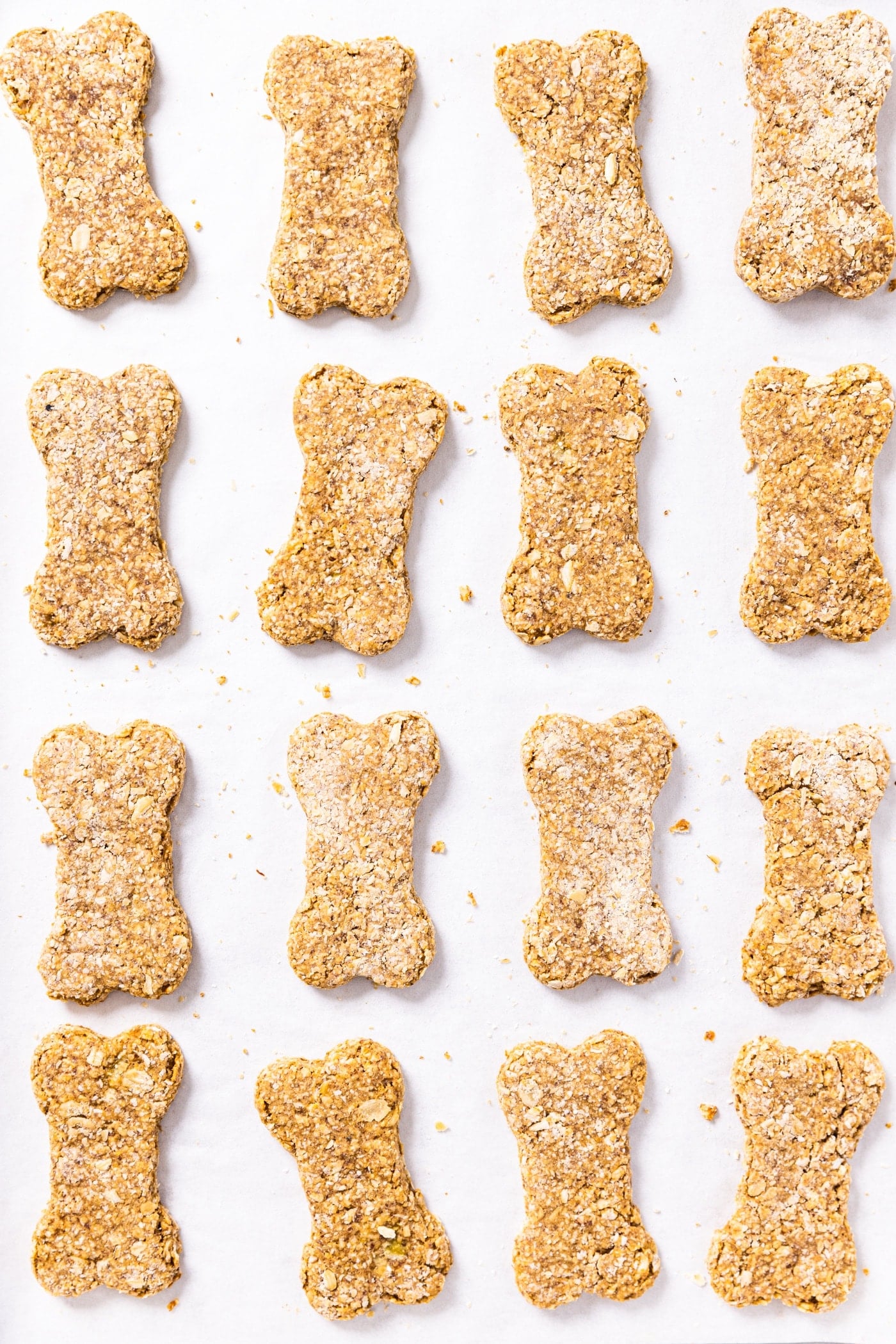 Top down view of rows of peanut butter dog biscuits sitting on white parchment-lined baking sheet