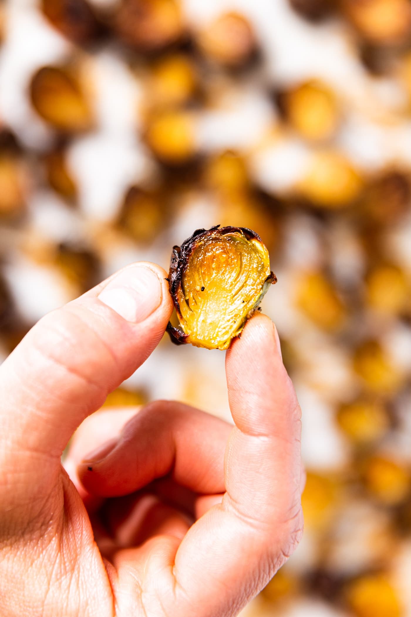 Hand holding a single honey Brussels sprout showing crispy edges with lots of Brussels in background
