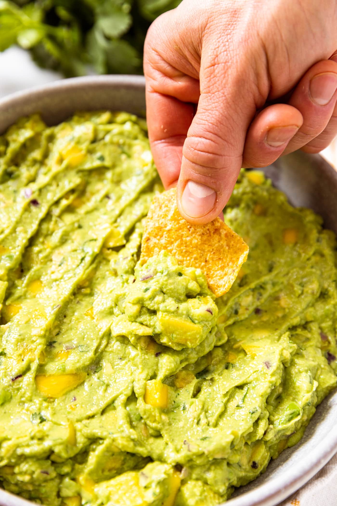 Hand holding tortilla chip scooping up some green colored tropical guacamole from white bowl