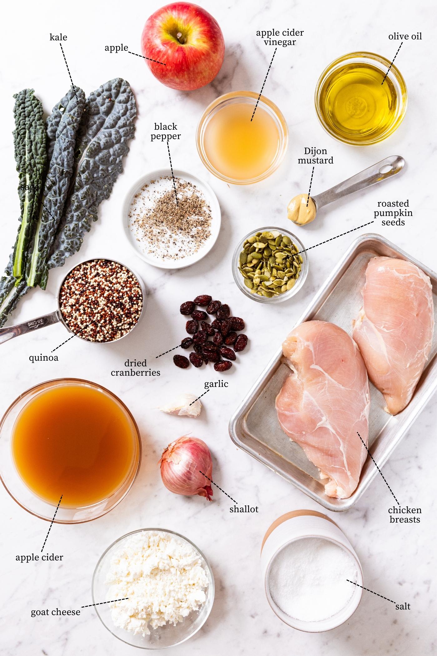 Marble surface filled with all the ingredients needed to make a quinoa kale salad including chicken breast, apple cider, apple, kale, quinoa, and more.