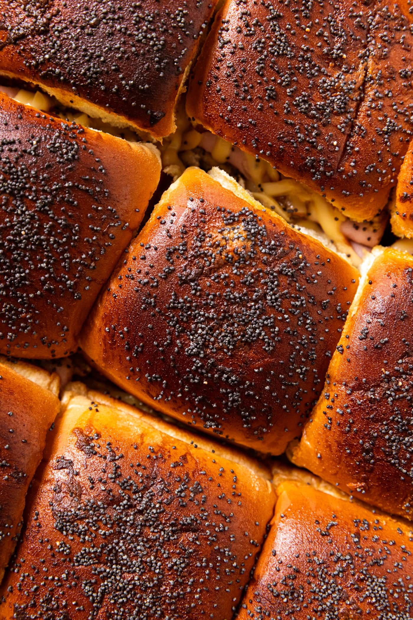 Top of sandwich buns topped with poppy seeds showing their brown color after baking in the oven.