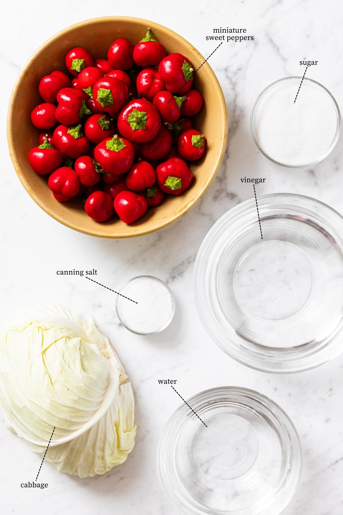 Marble surface showing all the ingredients needed to make stuffed pickled peppers including red peppers, cabbage, water, vinegar, sugar, and canning salt.