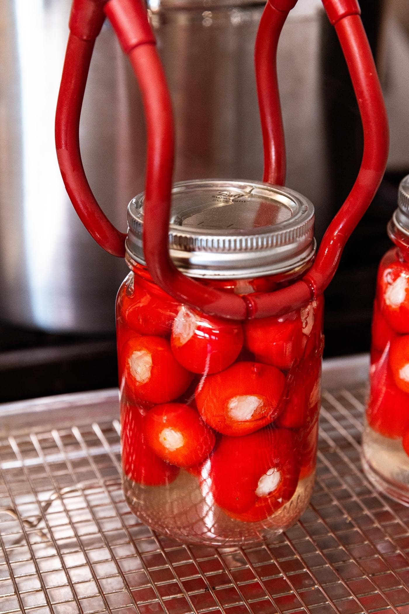 Plastic coated tongs holding hot glass canning jar straight from the water bath onto a metal wire rack to cool filled with small red sweet stuffed peppers.