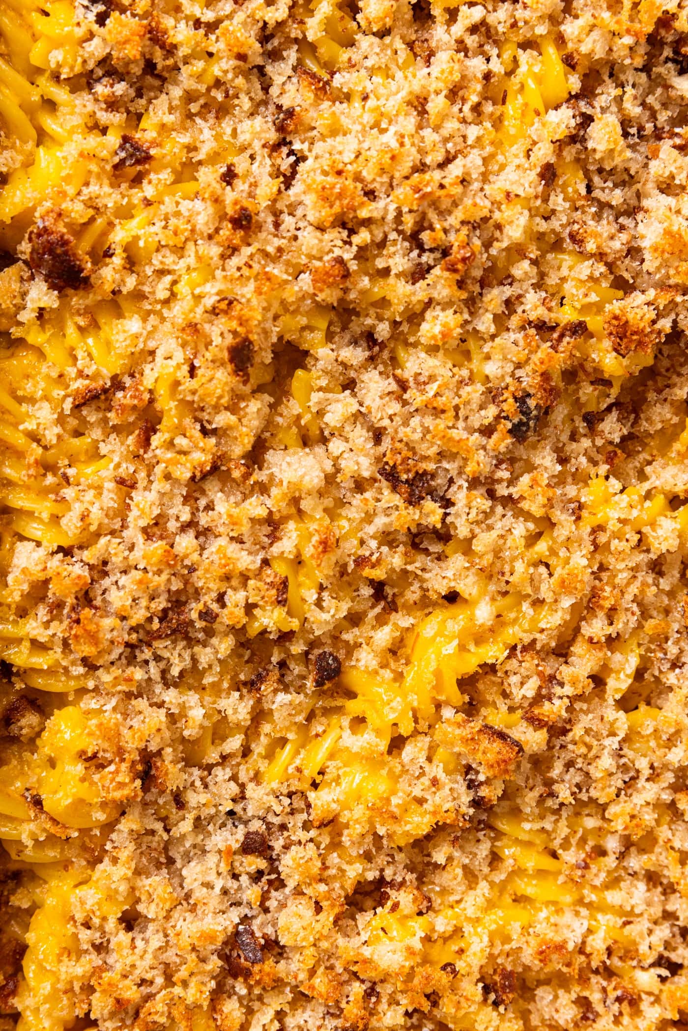 Baked Sungold tomato pasta bake showing the crispy topping and yellow colored sauce all over the rotini.