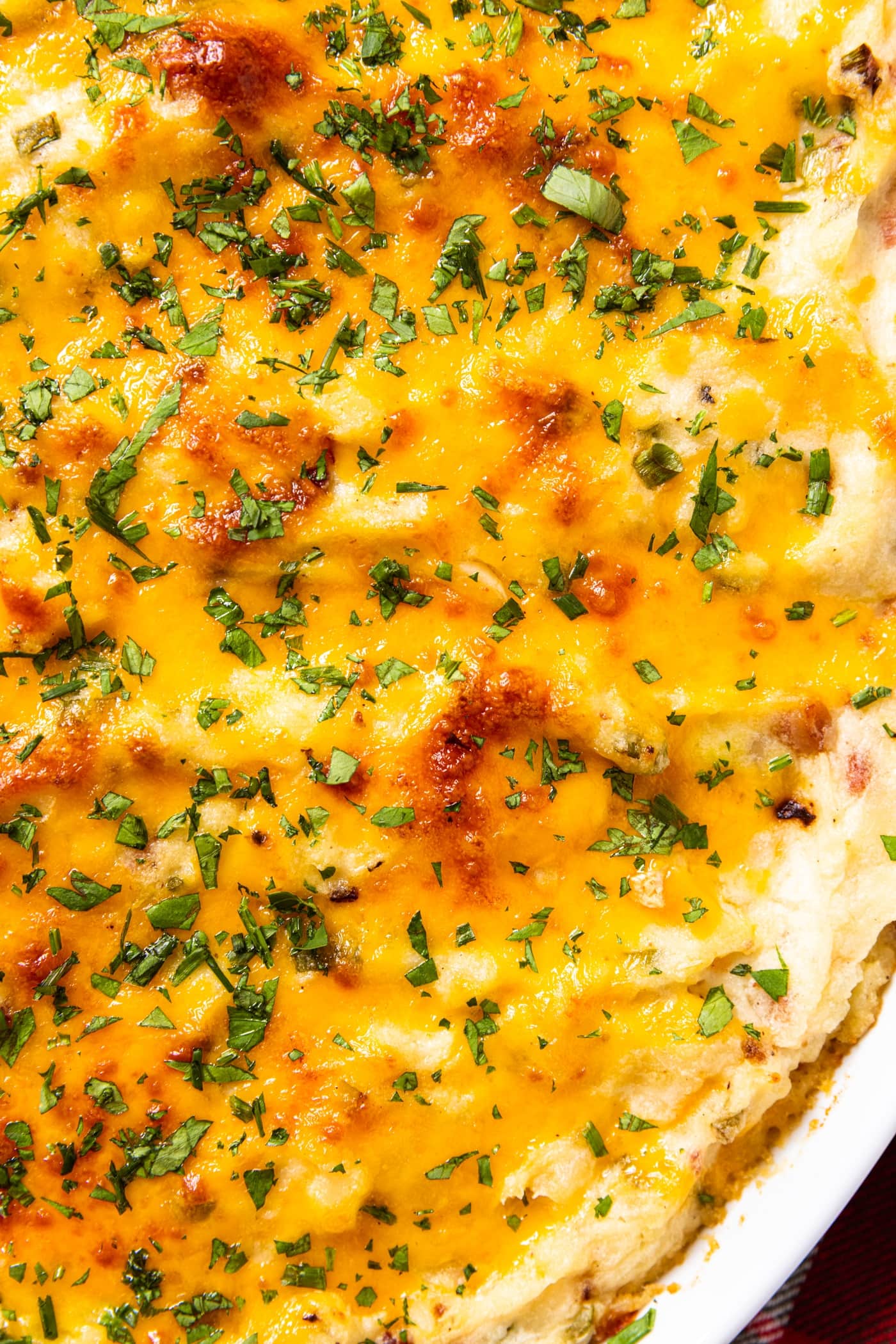 Browned cheese on top of twice-baked potato casserole with chives and parsley sprinkled all over the top.
