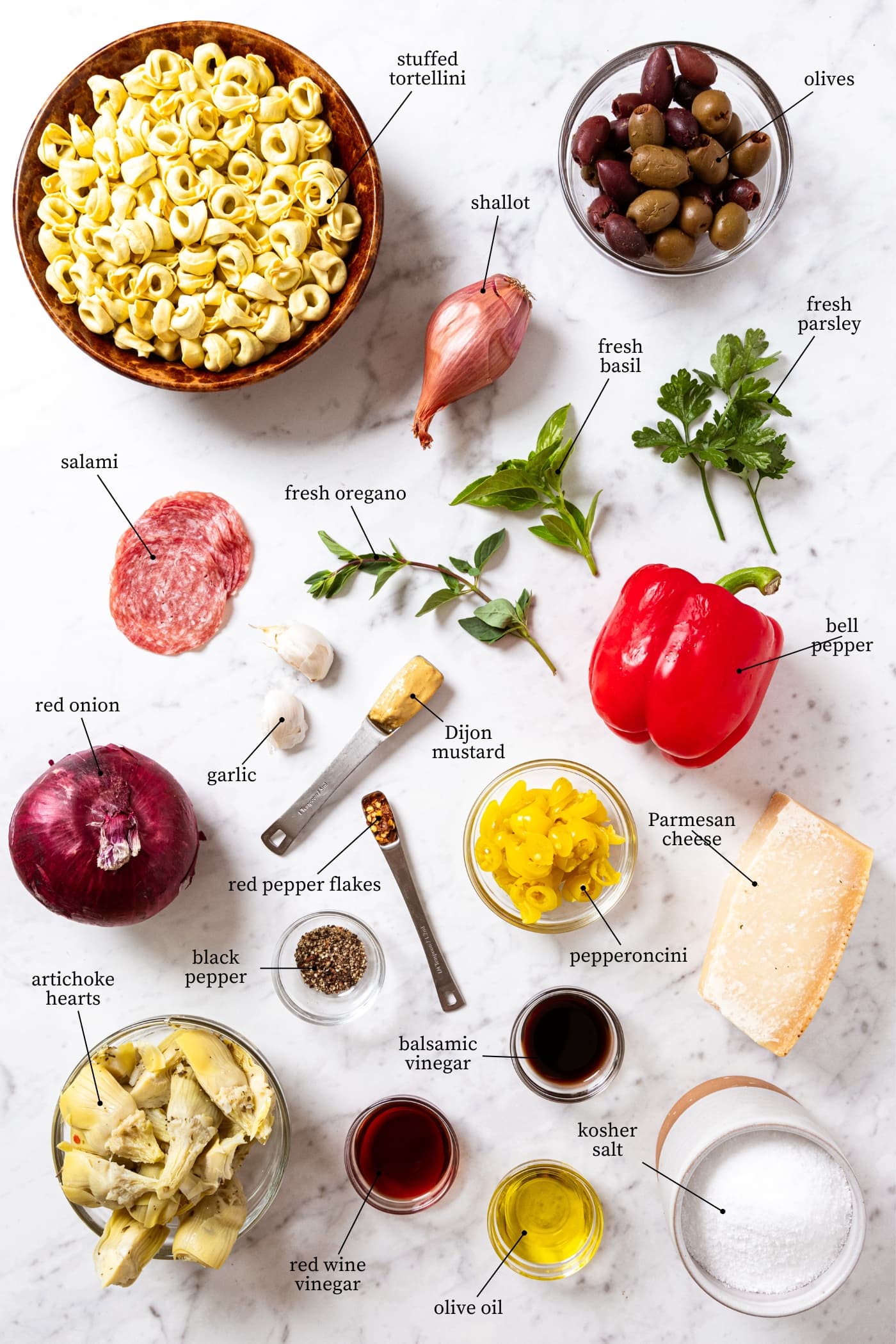 White surface filled with all ingredients needed to make tortellini pasta salad including pasta, red bell pepper, salami, olives, cheese, oils, spices, herbs, and more.