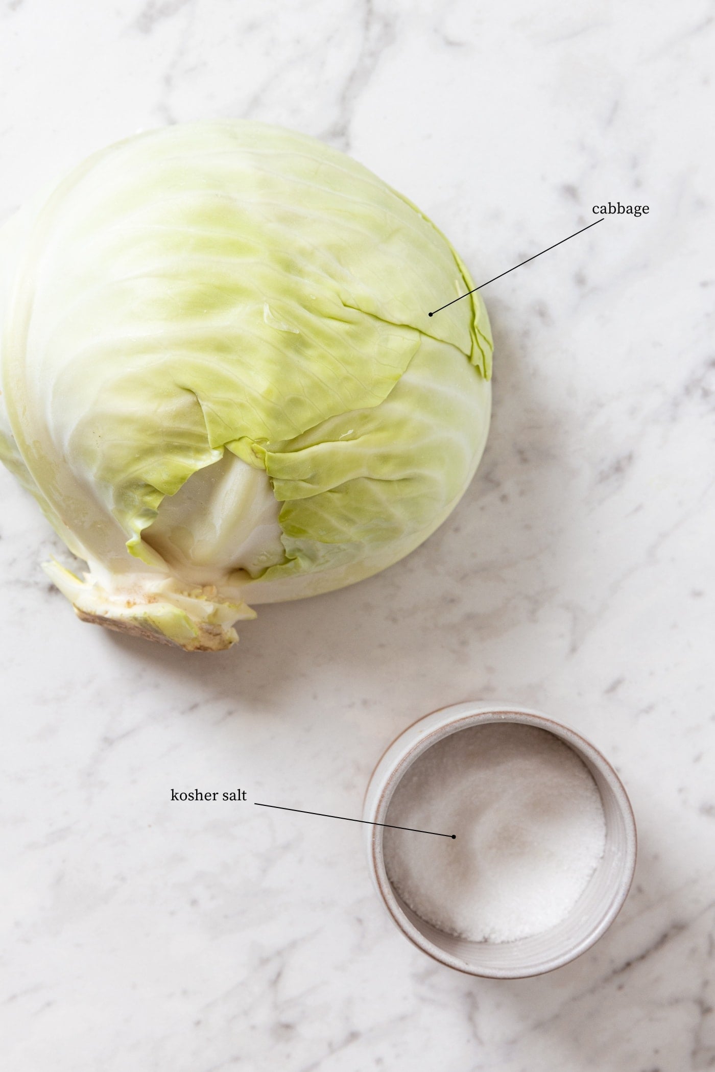White marble surface with upside head of cabbage and a canister of kosher salt.