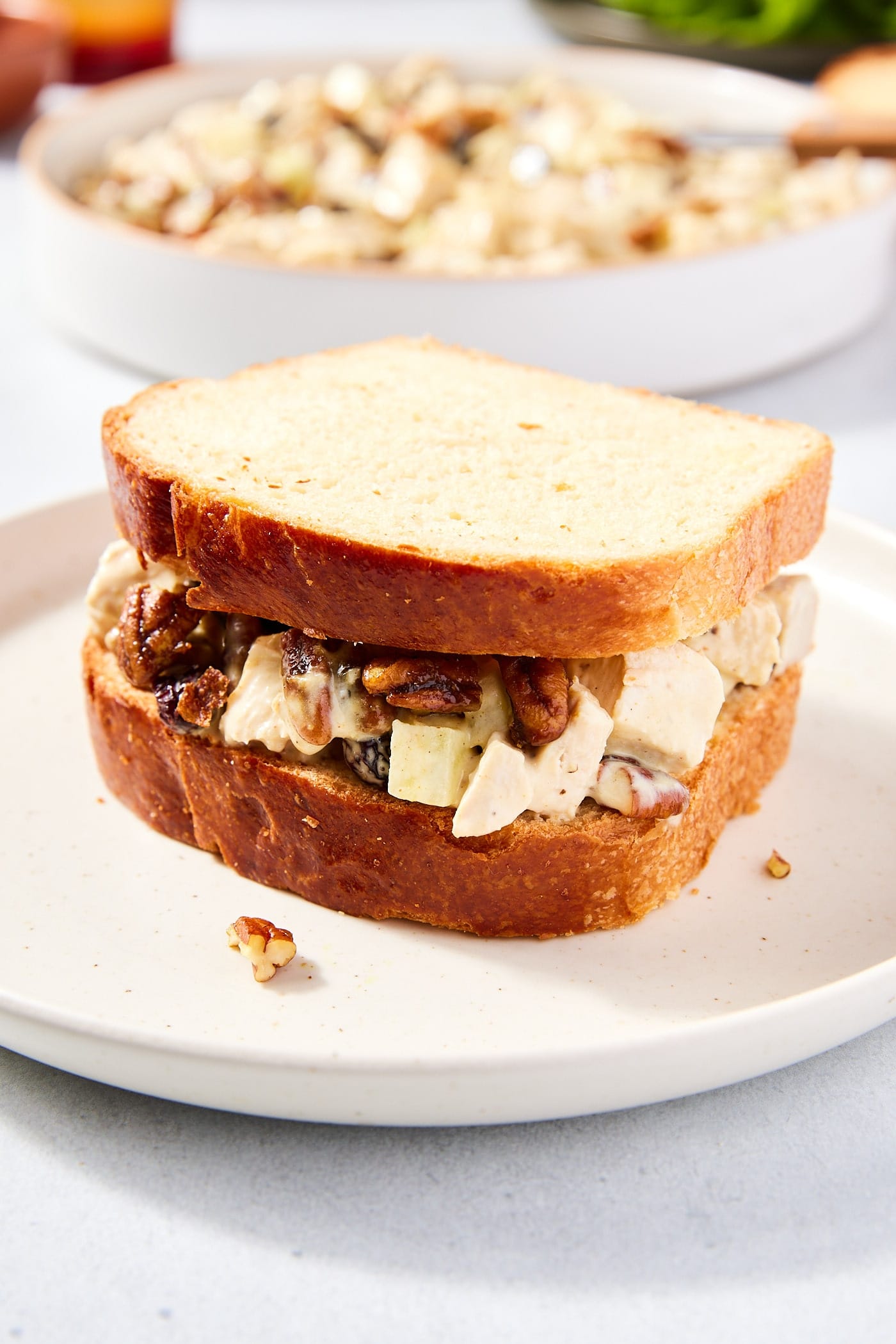 White plate with apple chicken salad sandwich sitting on top with more chicken salad in background.