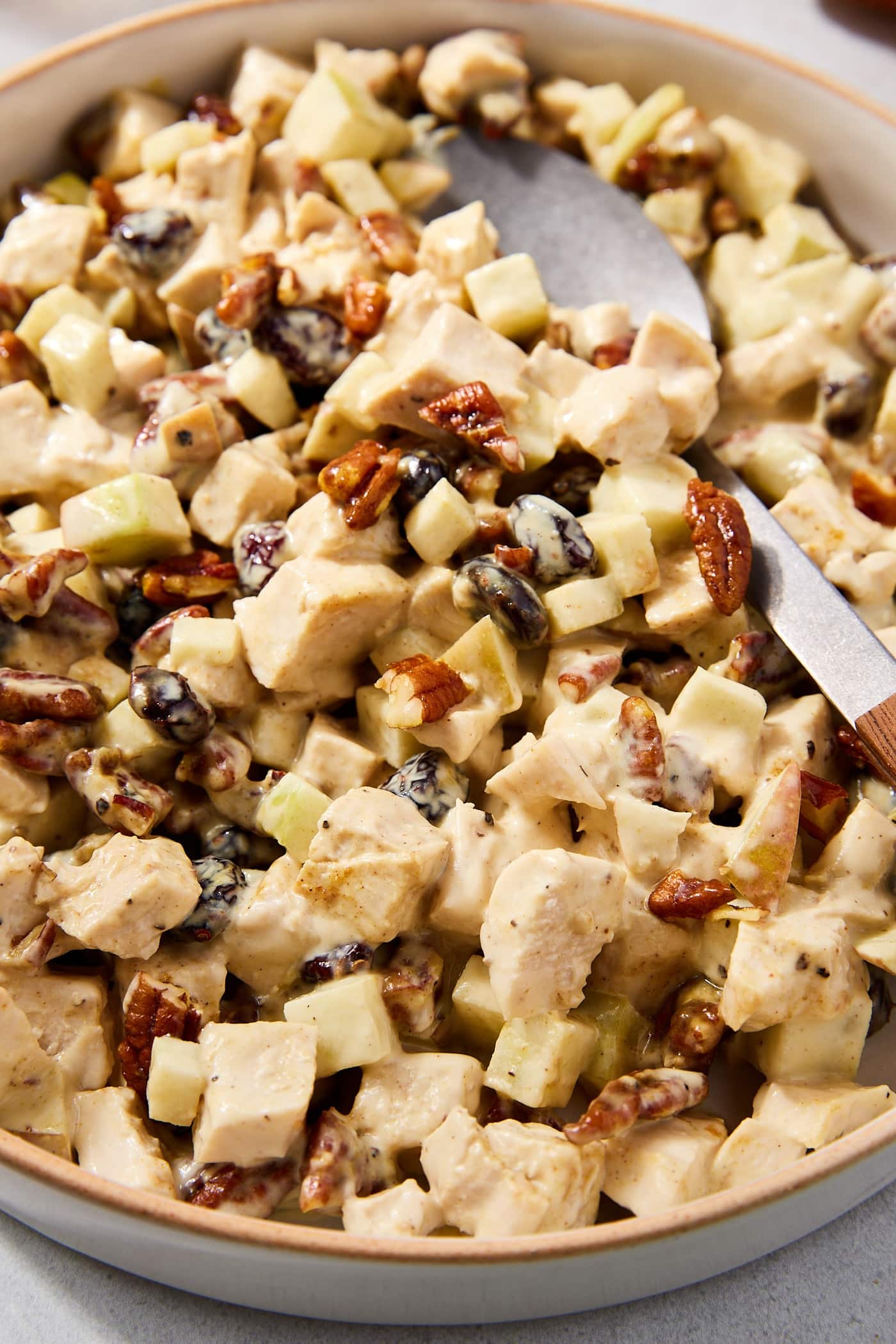 Pieces of chopped chicken tossed with pieces of apple, dried cranberries, and candied pecans.