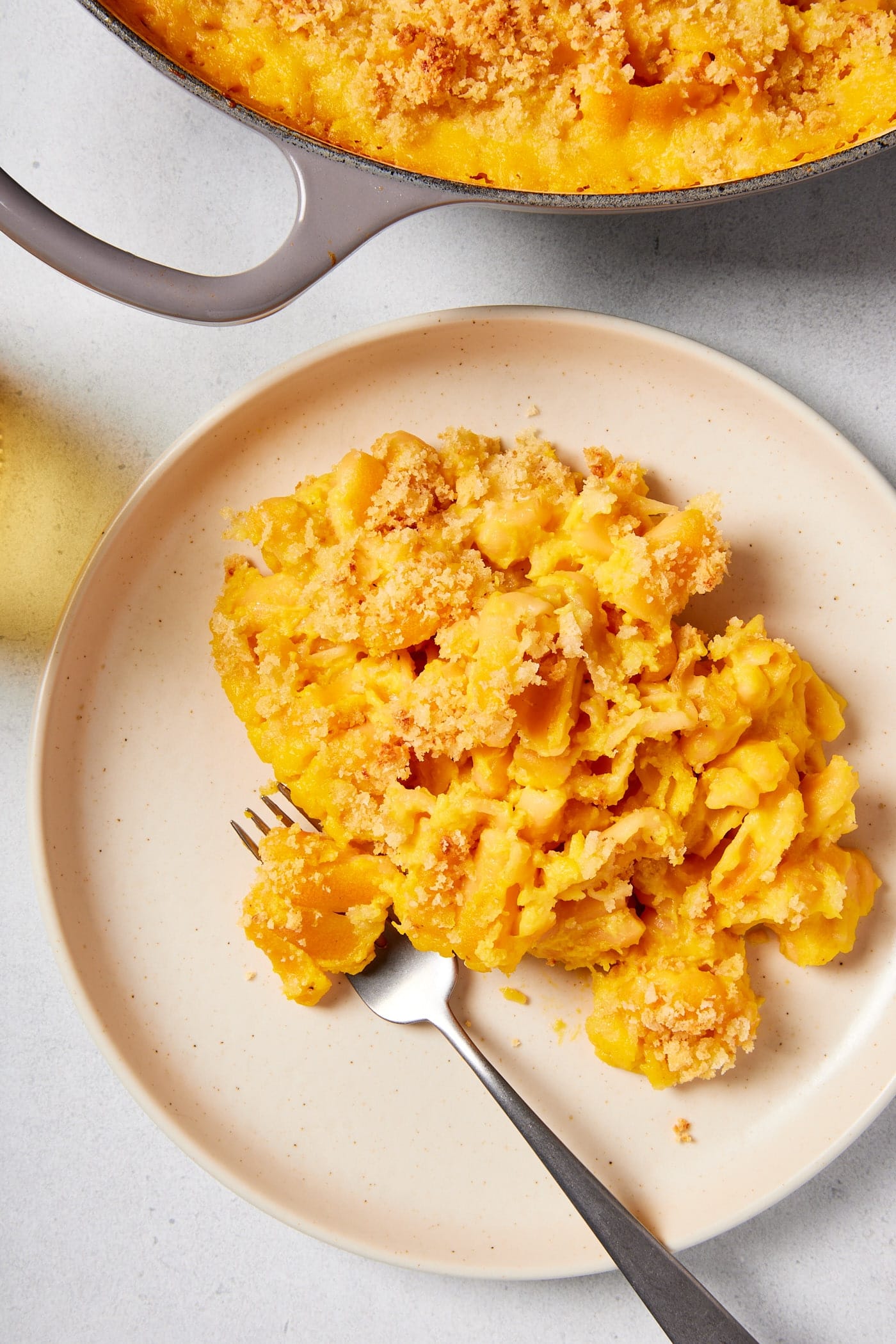 Cream colored plate filled with serving of creamy butternut squash pasta with fork scooping up a piece of pasta.