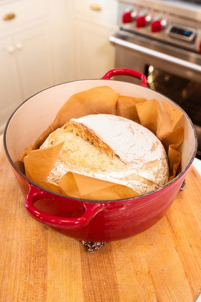 Baked overnight sourdough bread in large red Dutch oven after coming out of the oven.