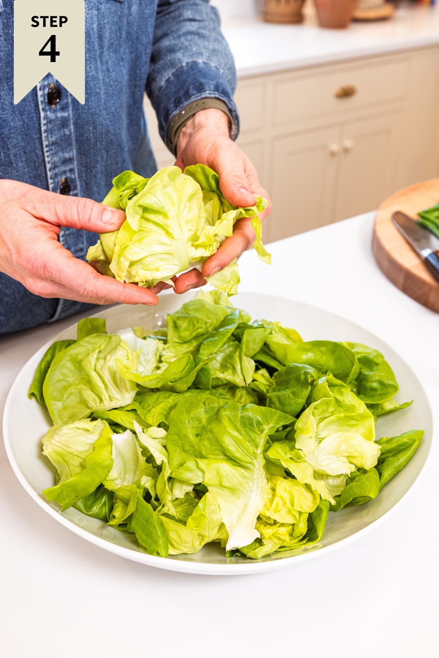 White salad bowl filled with butter lettuce being torn from a head of lettuce.