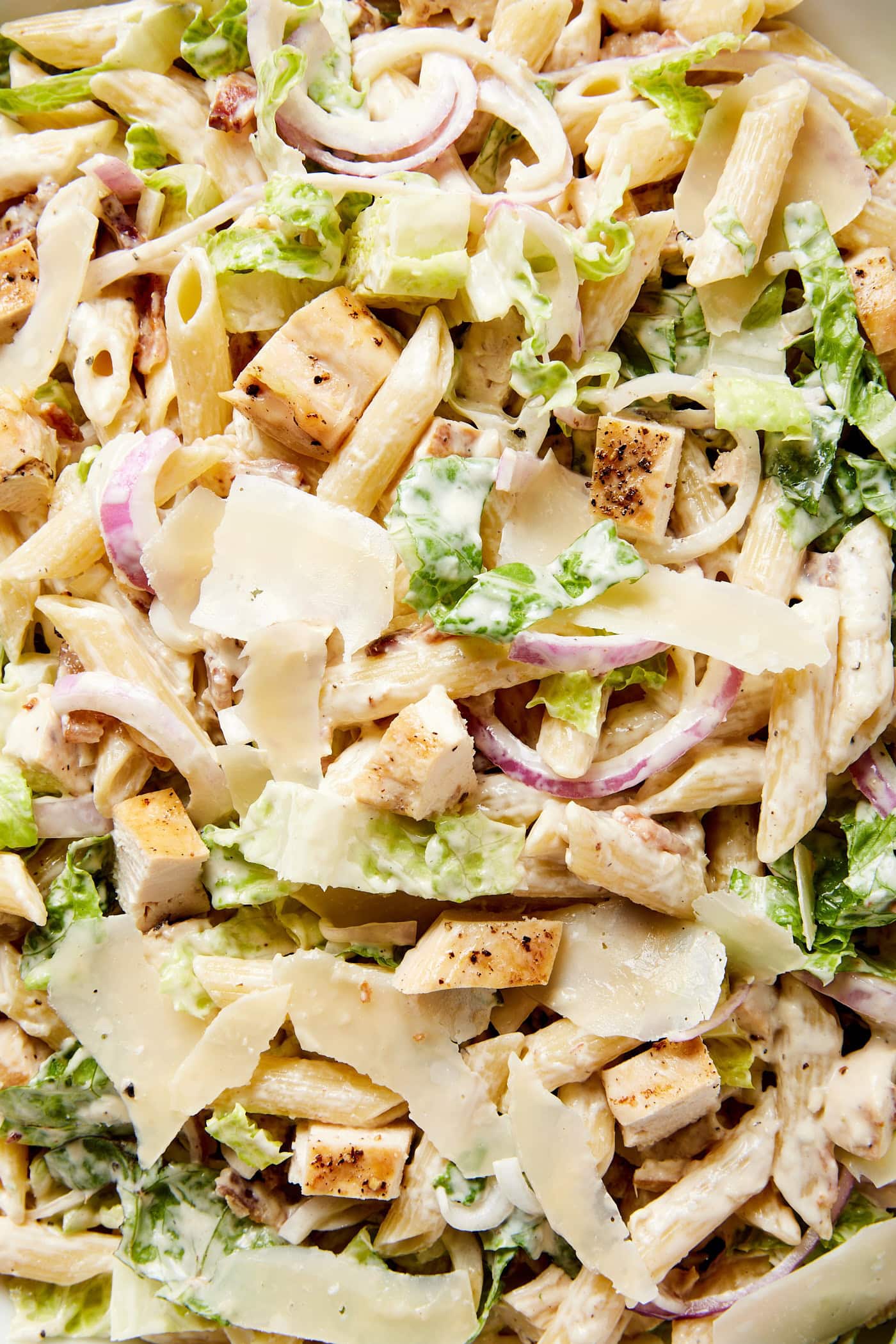 Combination of cubed chicken, Caesar dressing, lettuce, pasta, red onion, and more for a pasta salad recipe.
