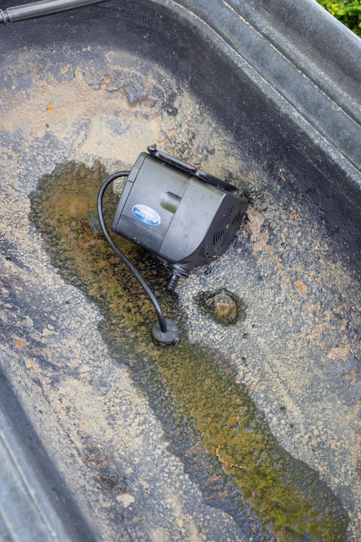 A water pump in the bottom of a cast iron water trough forming a water fountain.