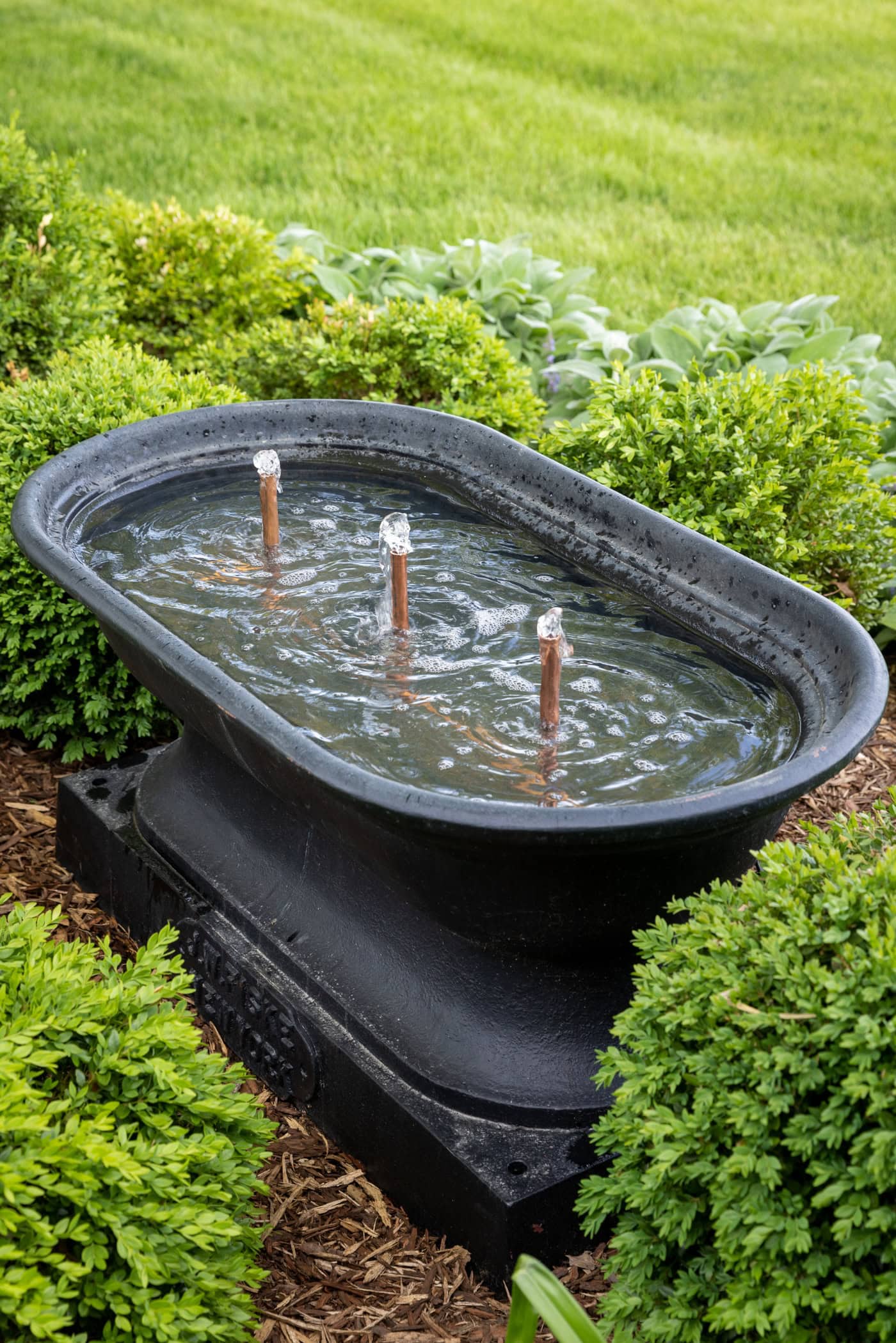 Black cast iron water fountain with copper bubblers with boxwood all around.